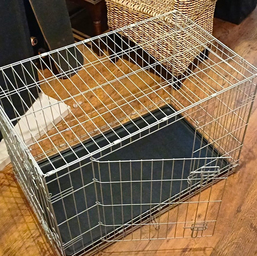 Folding steel wire dog - steel, cage