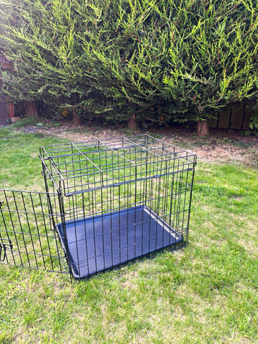 30in folding metal wire dog - folding,