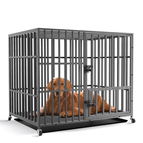 Bingopaw heavy duty pet - bingopaw, dog