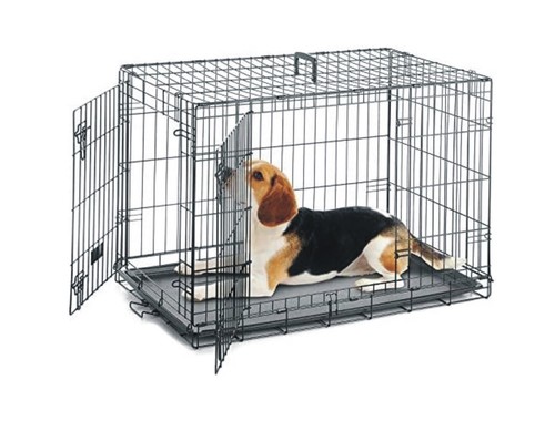 Dog cage pet - dog,
