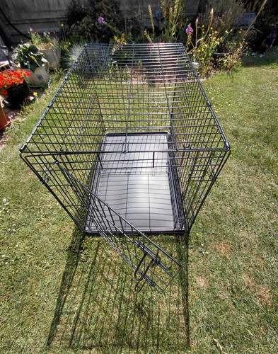 Folding metal dog crate - folding, cage