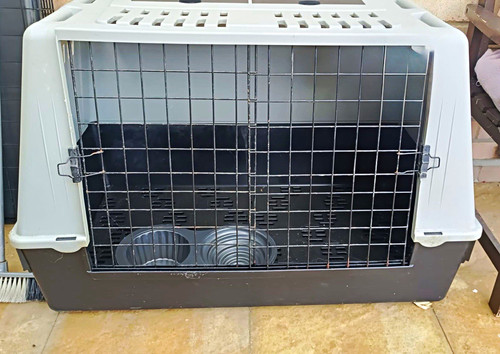 Hard sided plastic dog travel - plastic,