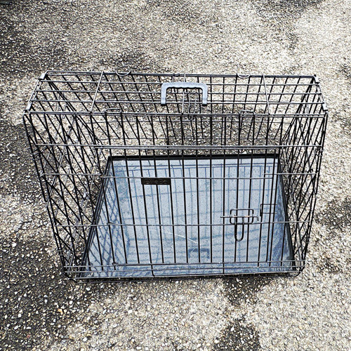 Steel wire standard dog - wire,