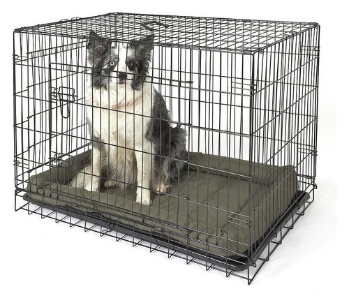 Double door dog crate large - door,
