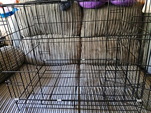 Black folding steel wire dog - black,