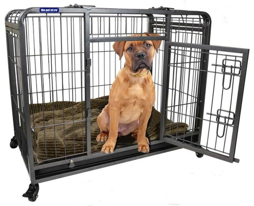 Pet store heavy - ,